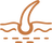 Thicker look at roots, narrower part