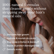 Natural Hair & Body System