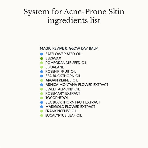 The Complete System for Acne-Prone Skin
