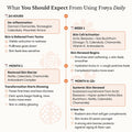 Timeline of expected results using the Frøya mature skin system daily over two months